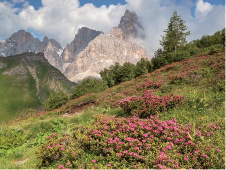 La montagna inclusiva. La formazione per l’accessibilità in montagna