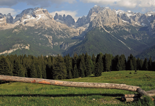 Trentino per tutti - MARCHIO OPEN. Conosci il grado di accessibilità della tua struttura?