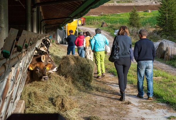 Un percorso didattico itinerante attraverso le valli dolomitiche