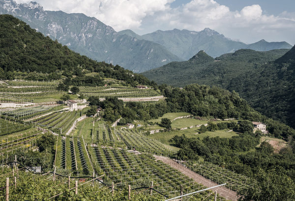 Presentato l’Atlante dei paesaggi terrazzati del Trentino