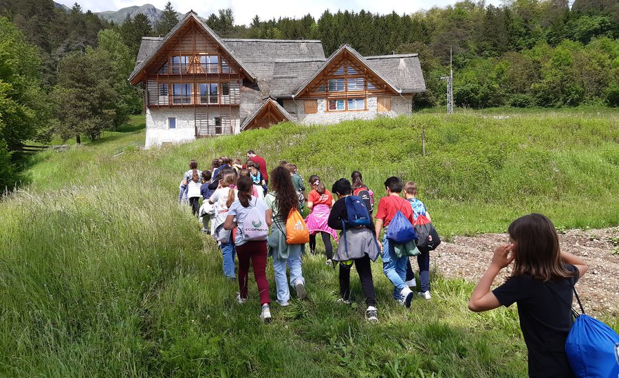 Le Dolomiti. Patrimonio mondiale UNESCO. Percorso didattico per le scuole delle Giudicarie Esteriori