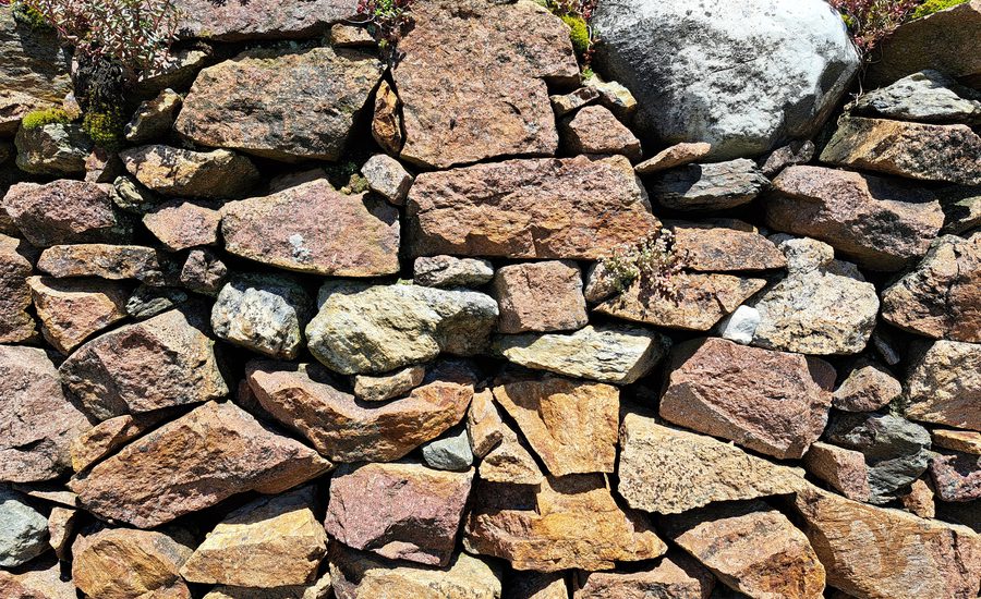 Il valore paesaggistico dei terrazzamenti montani: la Scuola trentina della Pietra a Secco