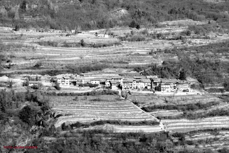 PAESAGGI IN PIETRA A SECCO. Sguardi fotografici tra indagine, documentazione e comprensione